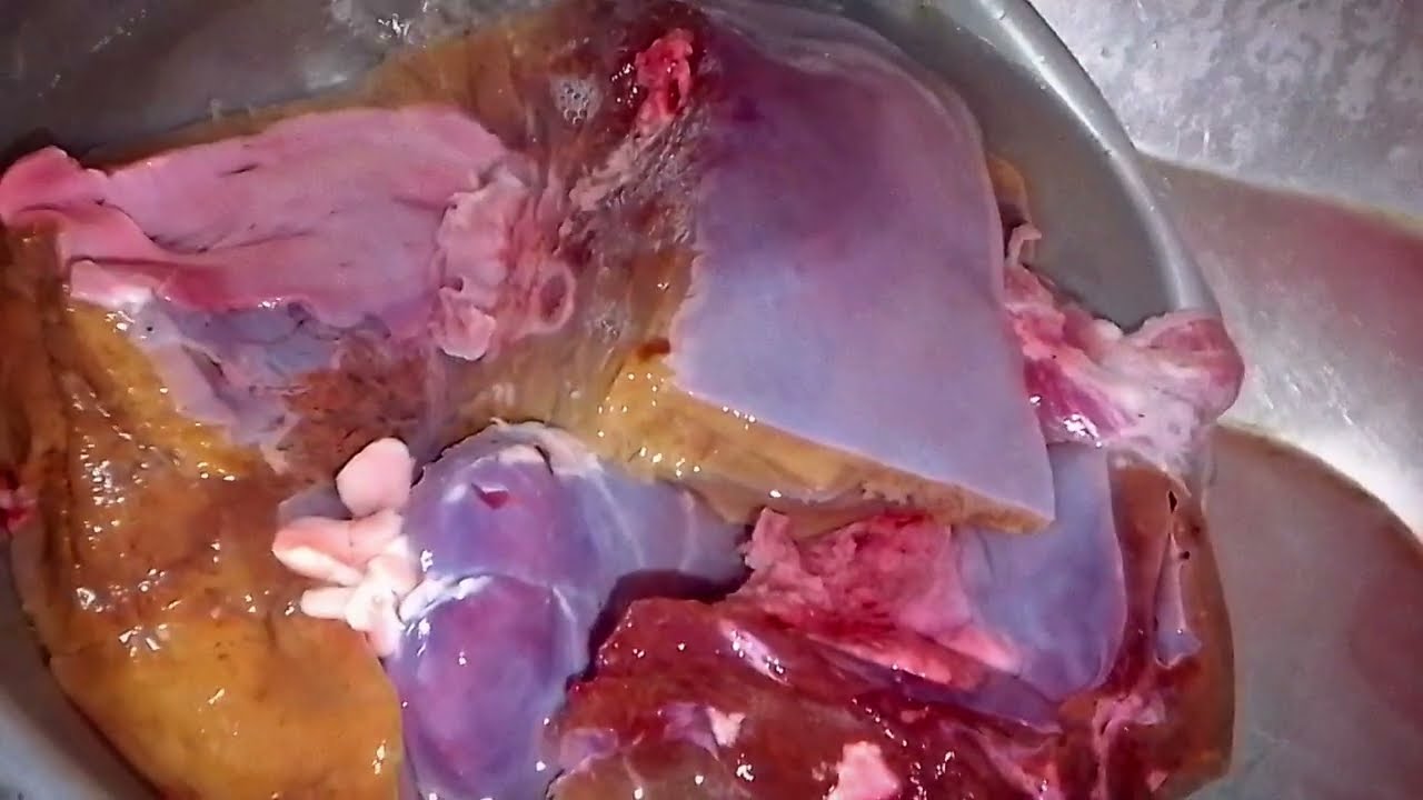 গরুর কলিজা ভুনা রেসিপি। gorur kolija vuna recipe . 