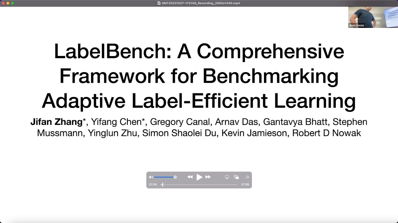 LabelBench: A Comprehensive Framework for Benchmarking Adaptive Label-Efficient Learning