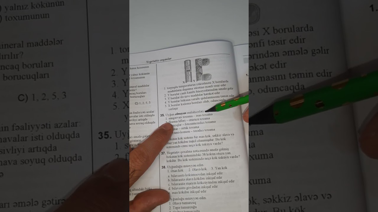 Biologiya.Test toplusu 2023. Vegetativ orqanların qarşılıqlı həyat fəaliyyəti.21 - 41.055 246 10 82