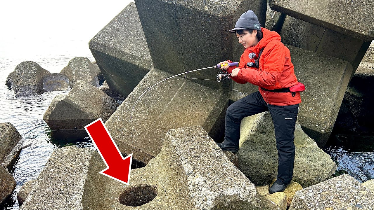 Должно быть, внутри этой дыры в волноломном блоке в префектуре Mie что-то скрывается!!