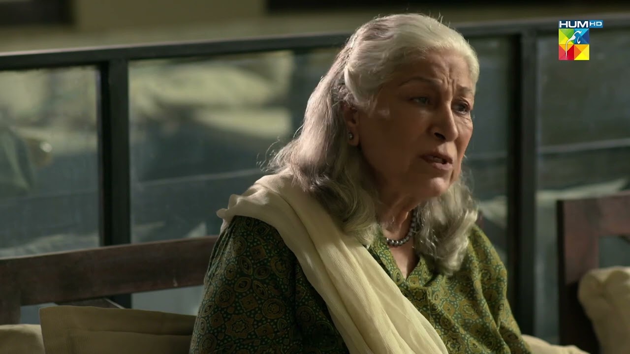 Arslan Naseer - Azra Mansoor - Best Scene 03 - Paristan - HUM TV