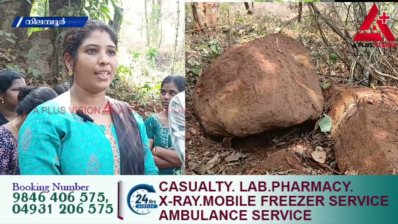 അരുവാക്കോട് മലയിൽ കുന്നിടിച്ച് റോഡ് നിർമ്മാണം;പ്രതിഷേധവുമായി   കുടുംബങ്ങൾ രംഗത്ത് 