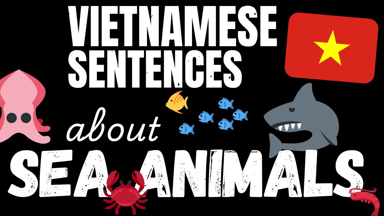 200 B1 Vietnamese sentences - Marine Animals | Learn Intermediate Vietnamese vocabulary