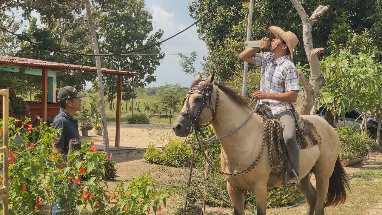 CAMBIE EL POTRO POR UN LITRO- Luis Campano-
