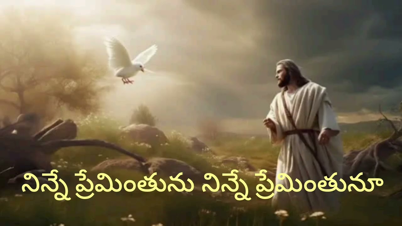 నిన్నే ప్రేమింతును నిన్నే ప్రేమింతునూ .....
