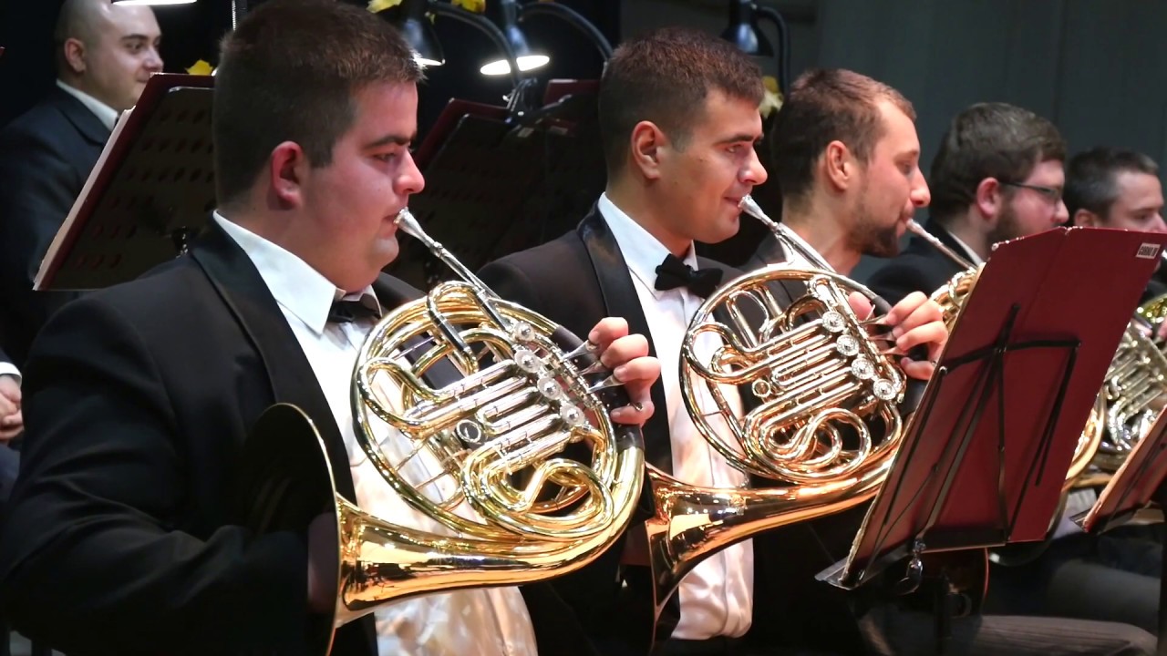Johann Strauss - Annen Polka