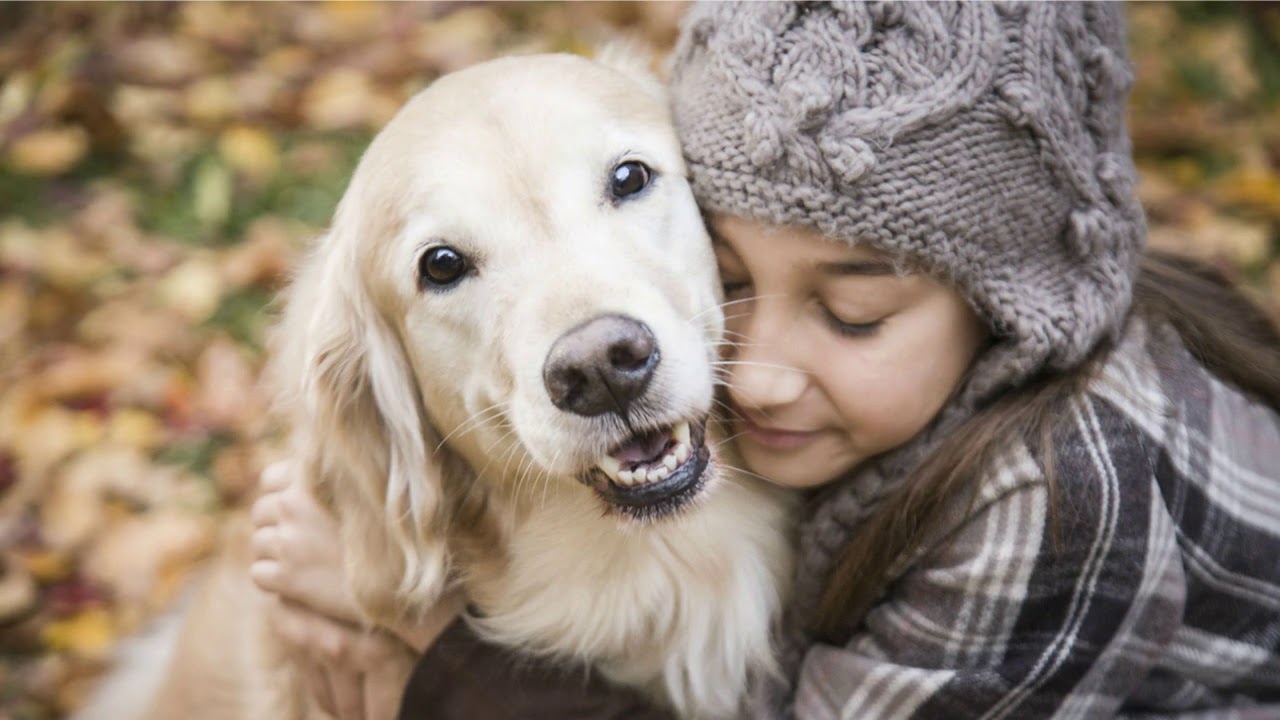 10 Greatest quotes about dogs you must know