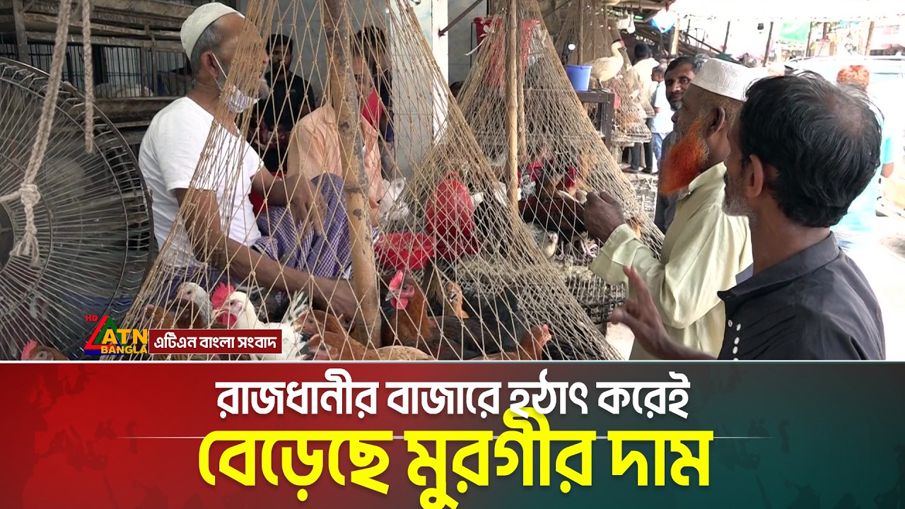 রাজধানীর বাজারে হঠাৎ করেই বেড়েছে মুরগীর দাম | ATN Bangla News