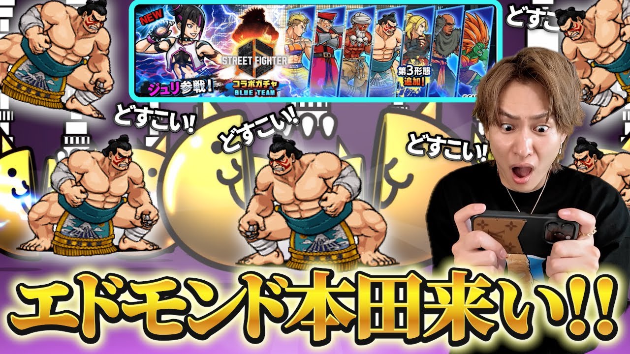 新キャラ出るまでガチャをぶん回したら地獄を見たダイキ様【にゃんこ大戦争】