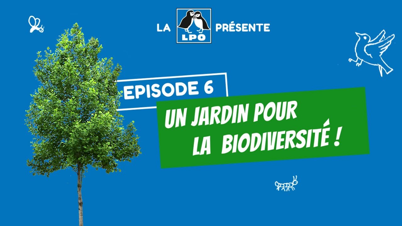 Colocataires sauvages Épisode 6 - Saison 1 : Un jardin pour la biodiversité !