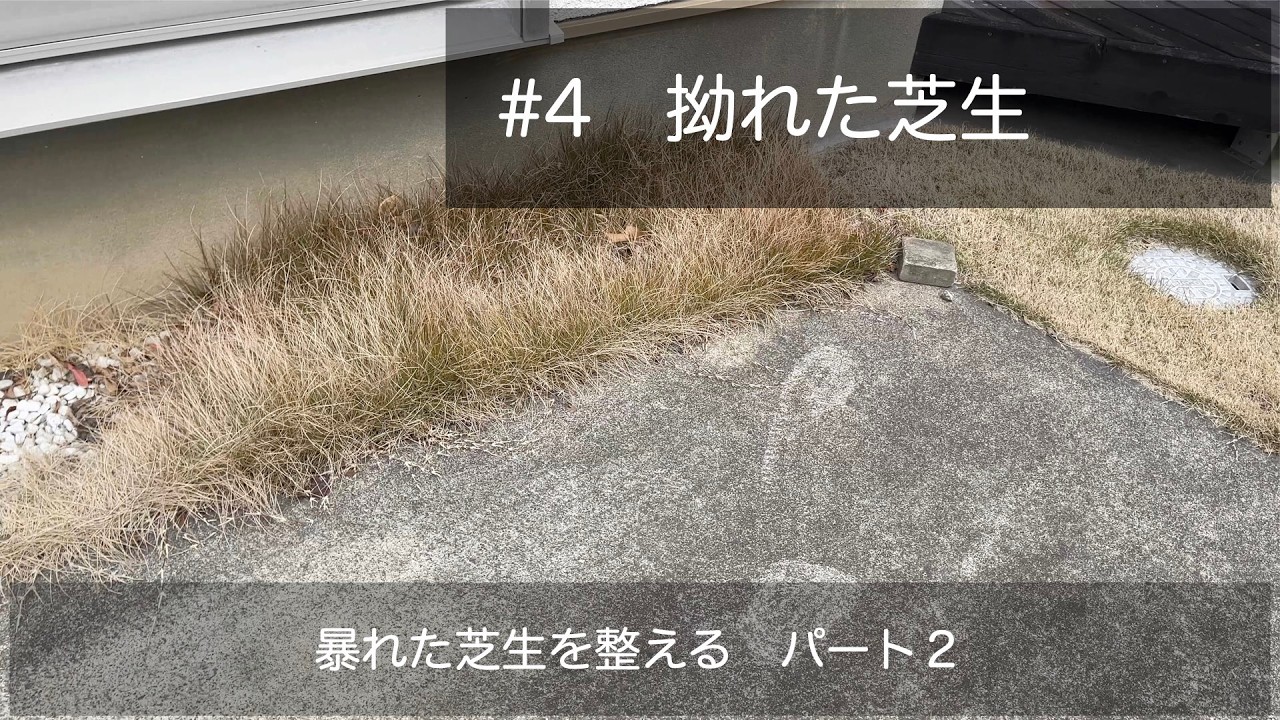 【庭DIY】#4 拗れた芝生