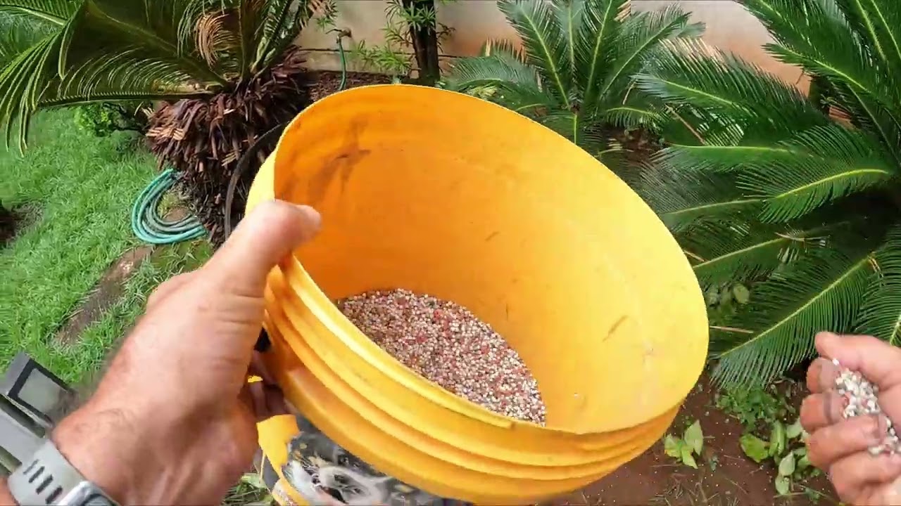 O Segredo do Jardim Perfeito: Fizemos uma Manutenção Completa (Resultado Incrível!)