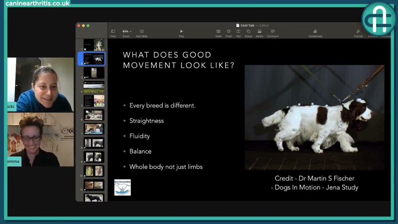 CAM LIVE: Posture, gait analysis and free work with Gemma Hodson