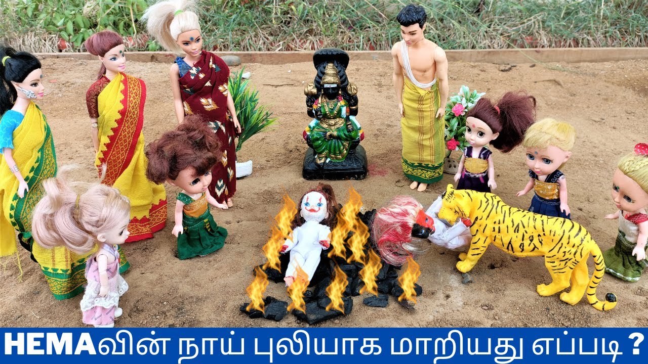 Hemaவின் நாய் புலியாக மாறியது எப்படி ?| @thelittlecookdorabora