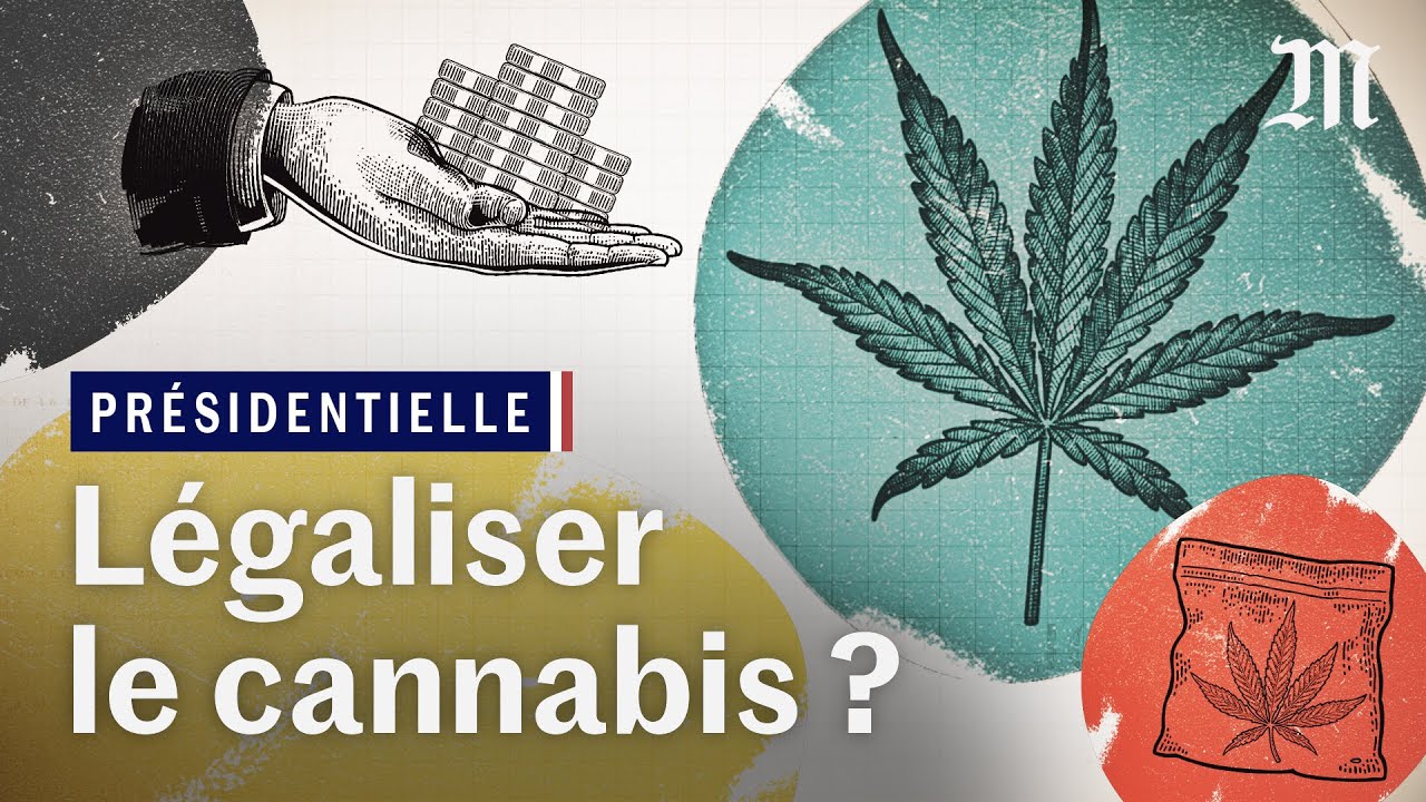 Pr&eacute;sidentielle 2022 : faut-il l&eacute;galiser le cannabis en France ?