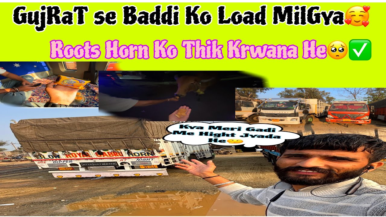 GujRat se Baddi Ko Load Milgya💝✅ Roots Horn Thik karwana He🥺☑️ #gujrat  #baddi 