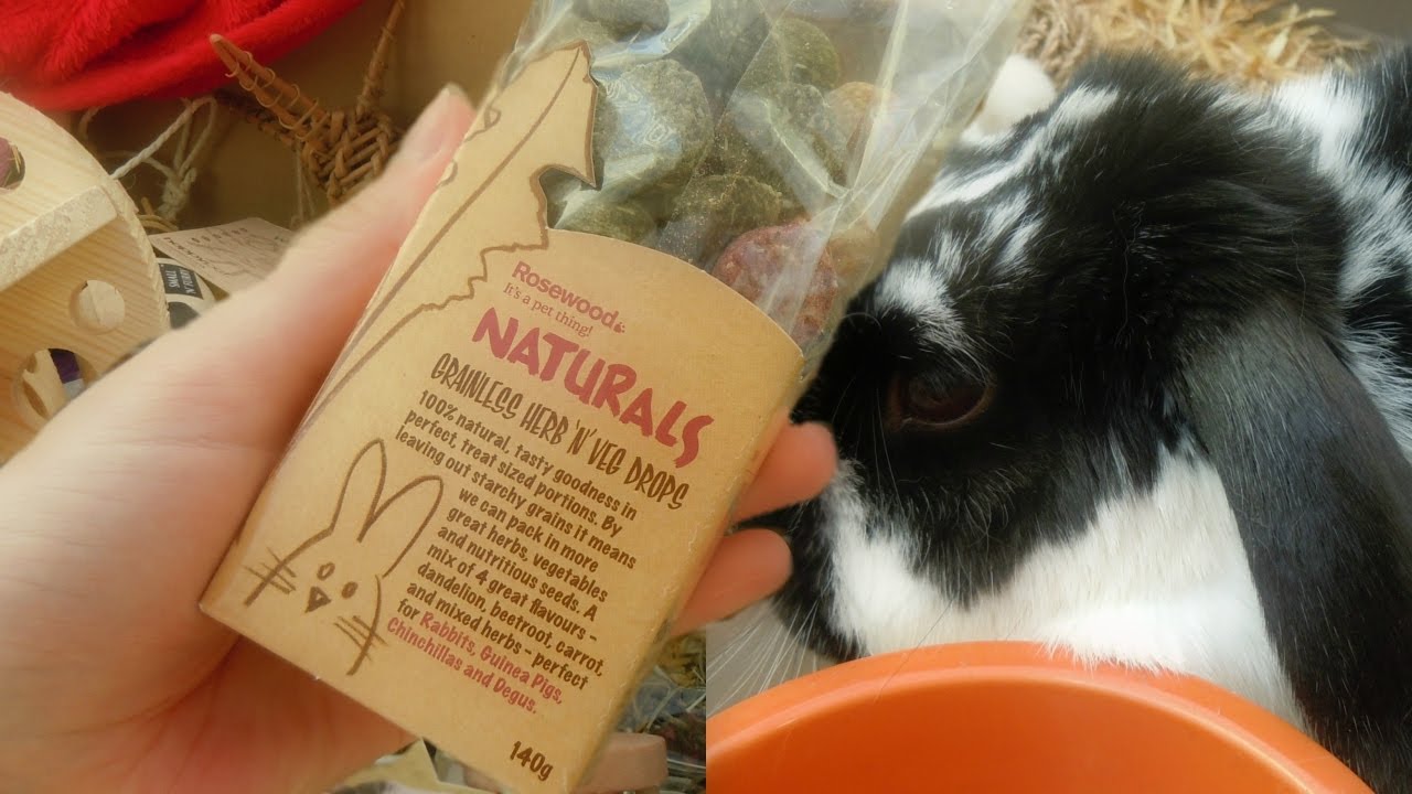 VLOG: Time For Changes & Rosie's Morning Play | RosieBunneh