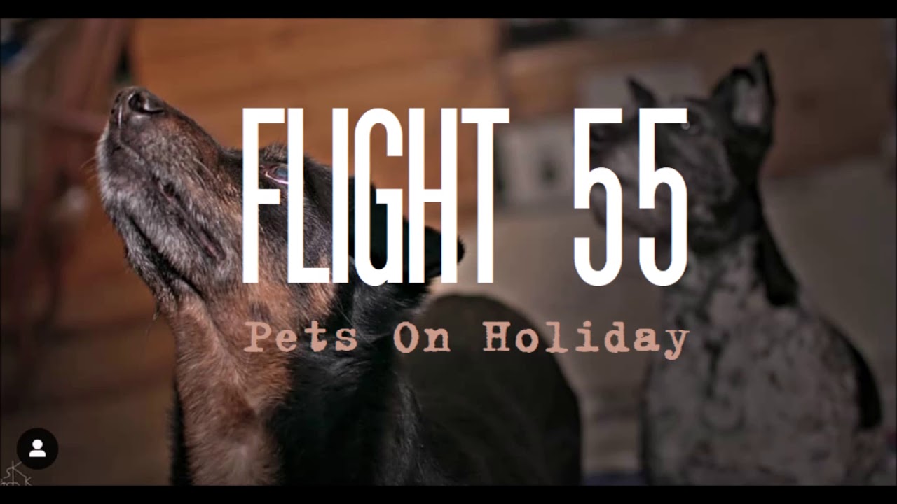 Flight 55 - Pets On Holiday