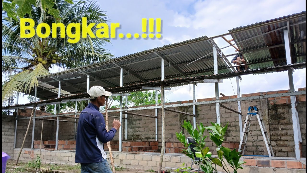 PROSES BONGKAR KANDANG,BUAT AYAM PETELUR