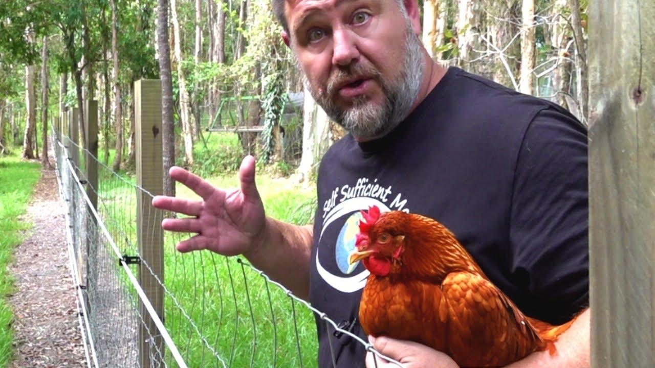 Was Our $2500 Electric Fence Worth the Money