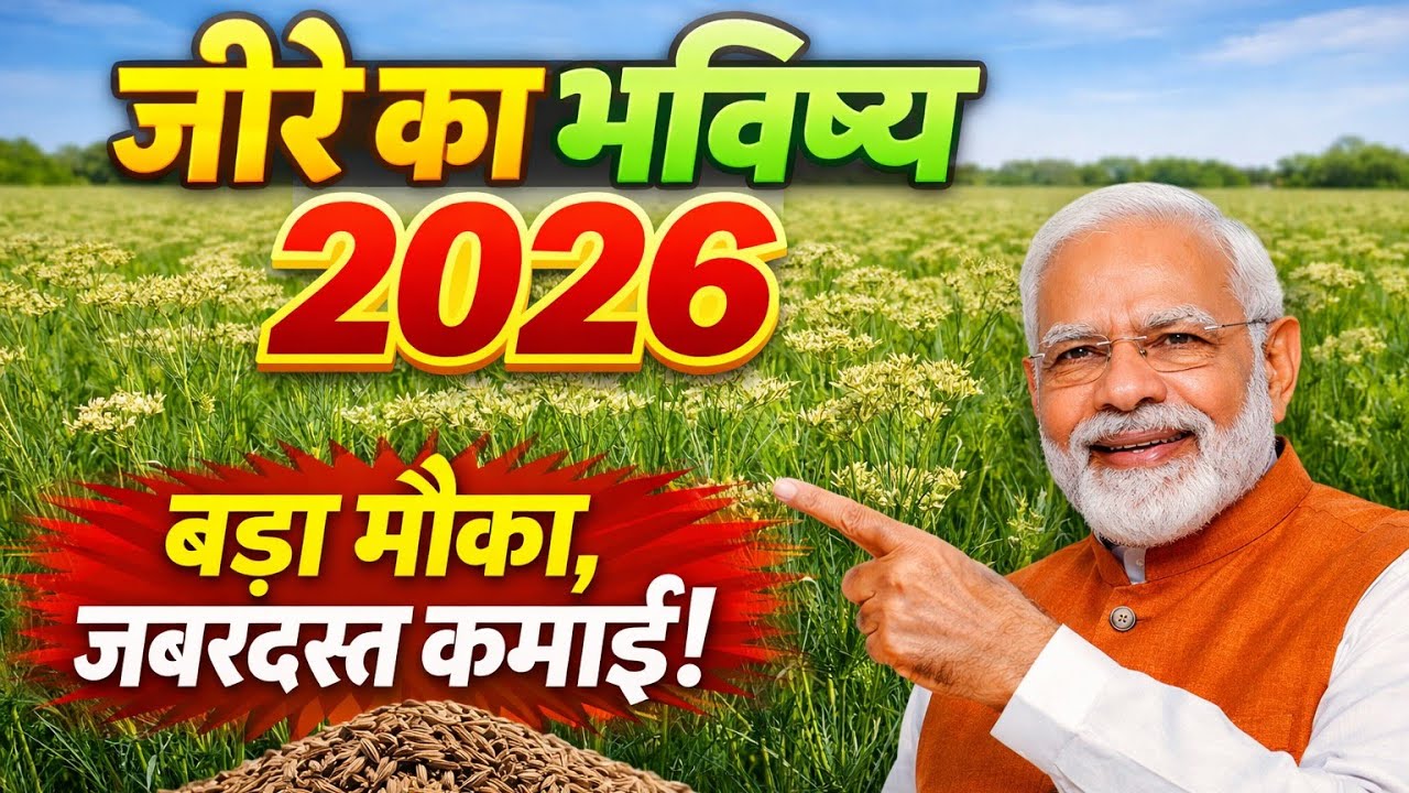 जीरा का भविष्य 2026: क्या भाव 30000 पार होगा? 🔥 पूरी रिपोर्ट | Jeera Price 2026 c**** seed bhav 2026