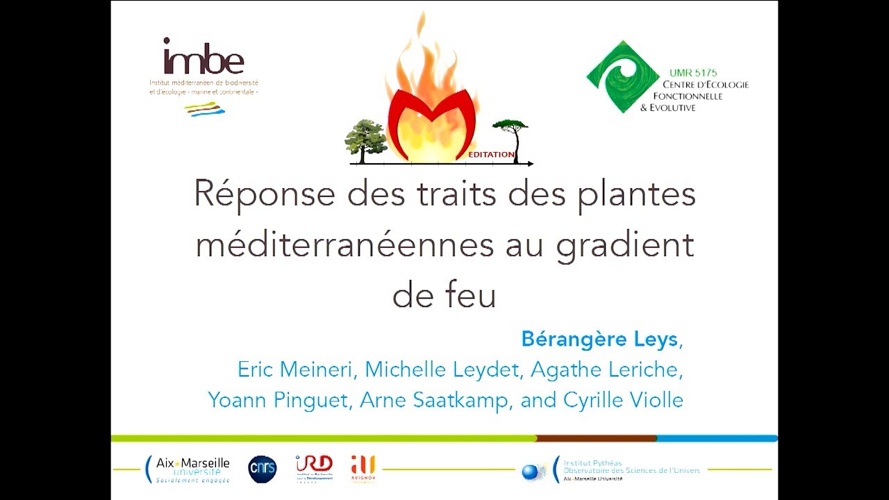Réponse des traits des plantes méditerranéennes au gradient de feu