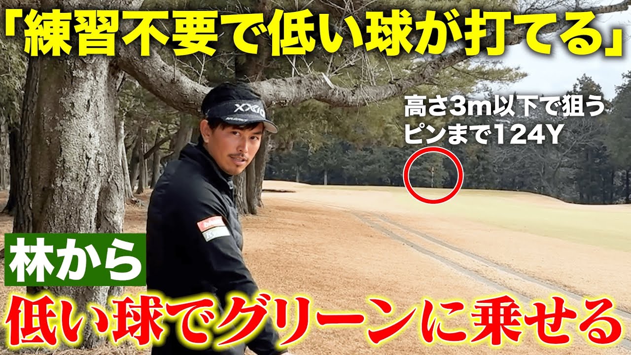 【練習不要】大切なのは構えだけ！？林から低い球でグリーンを狙える！今すぐコースで使える「ローボールの打ち方」お伝えします！