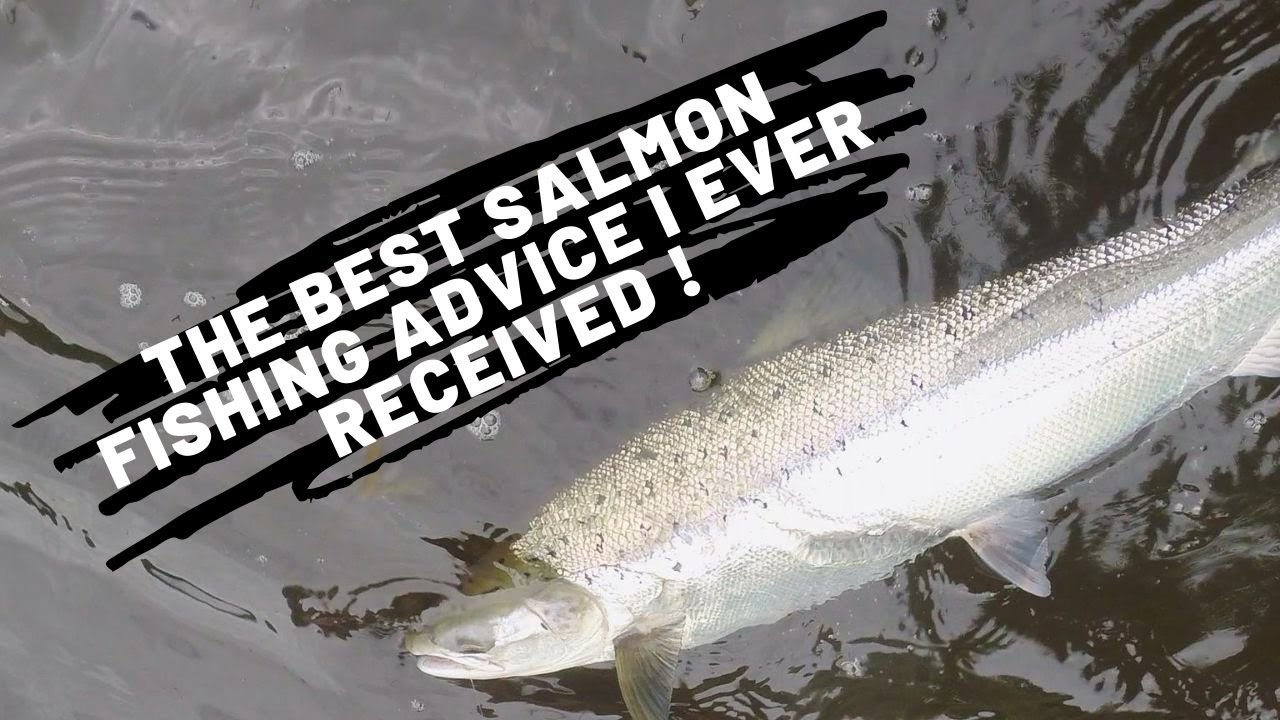 Salmon Fishing Ireland - Just Fish