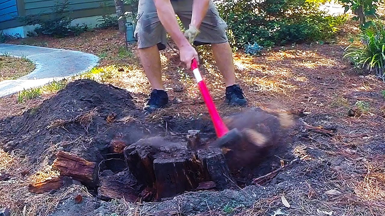 Stump Removal By Hand  THE HARD WAY
