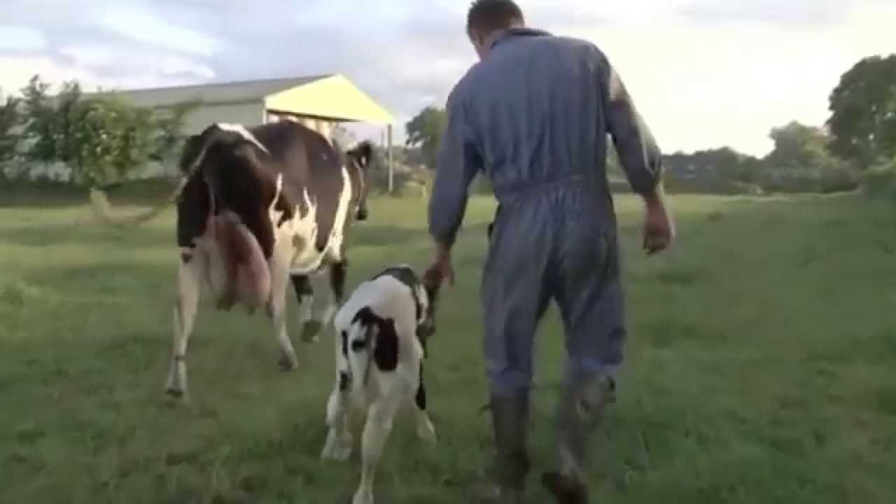 A Mother's Love