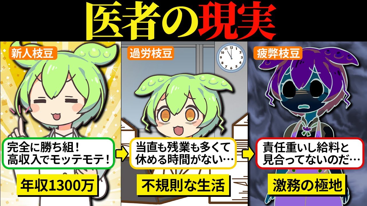 医者になったら高収入でモテると思ったけど甘くはなかったのだ…【ずんだもん＆ゆっくり解説】