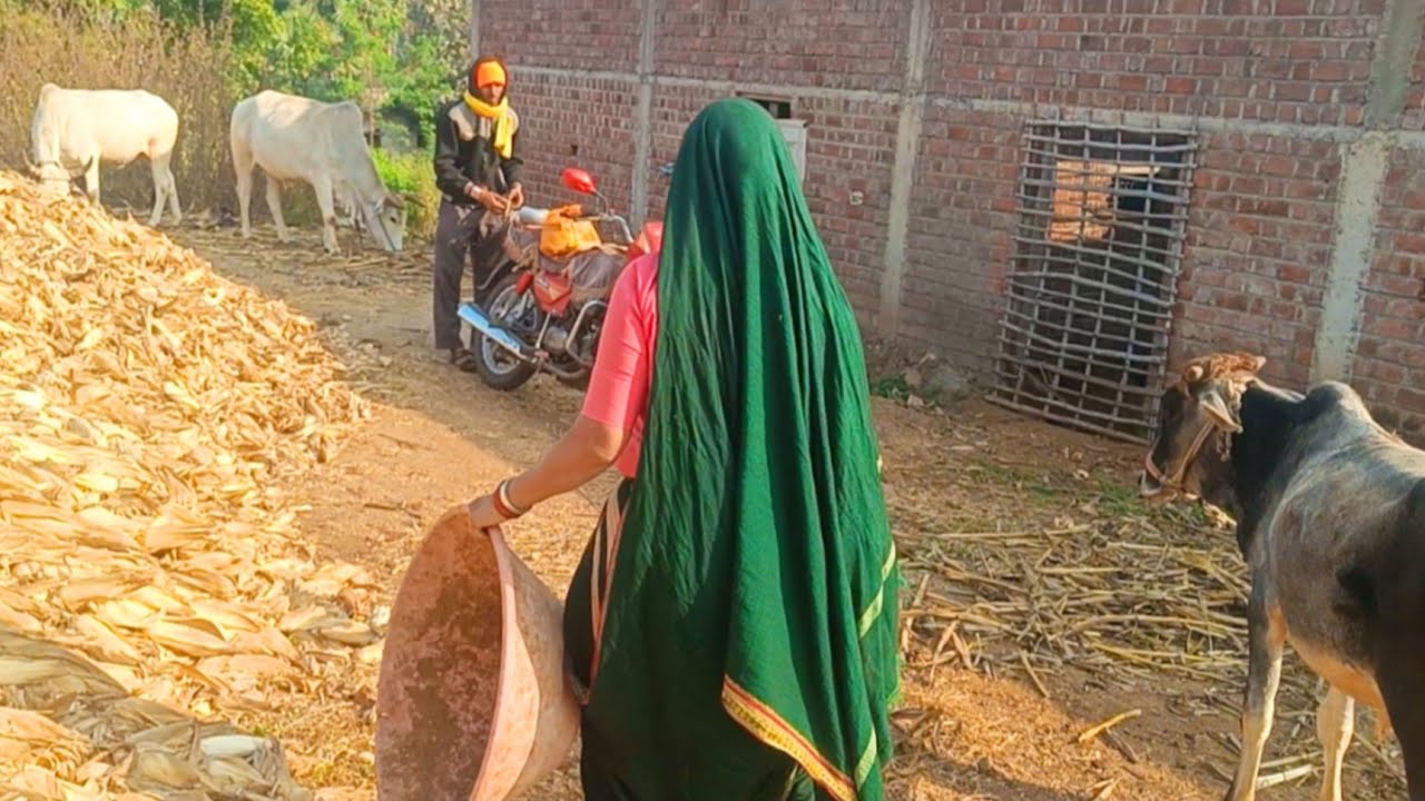 बाबू मोन्डी से काय लायु । आनंदी वैष्णवी व्लोग 5 वीडियो । #trending #villagelife #longvideo #vlog2025