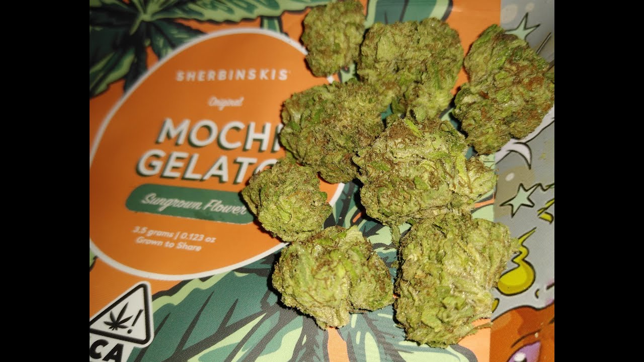 SHERBINSKIES Mochi Gelato Sativa Hybrid Weed Review