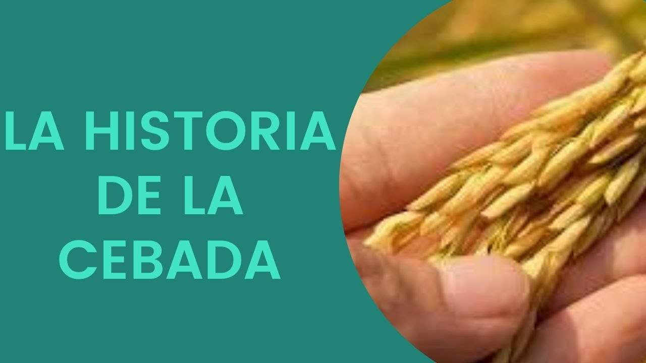 HISTORIA DE LA CEBADA