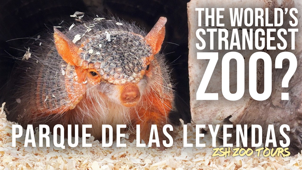 Parque de las Leyendas 4K Zoo Tour | The Rarest Animals in the World!