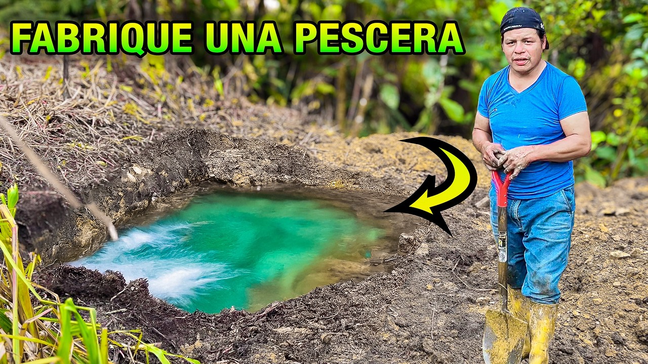 Construí esta pecera en tan solo DOS HORAS para sembrar tilapias -DON PEDRITO