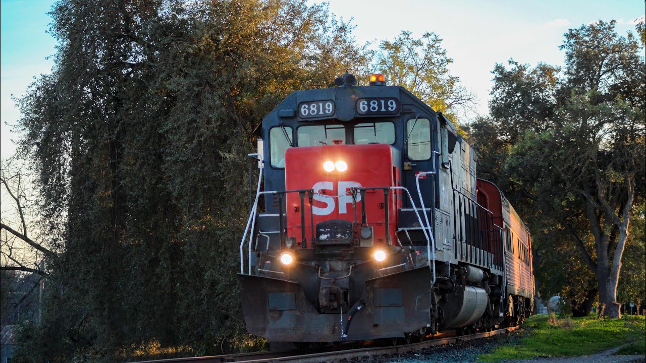 [BONUS] More SP 6819 