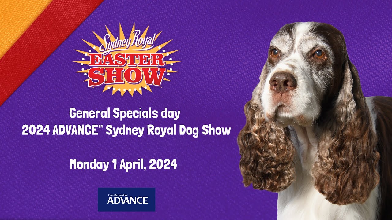 ADVANCE™ Sydney Royal Dog Show Best in Show