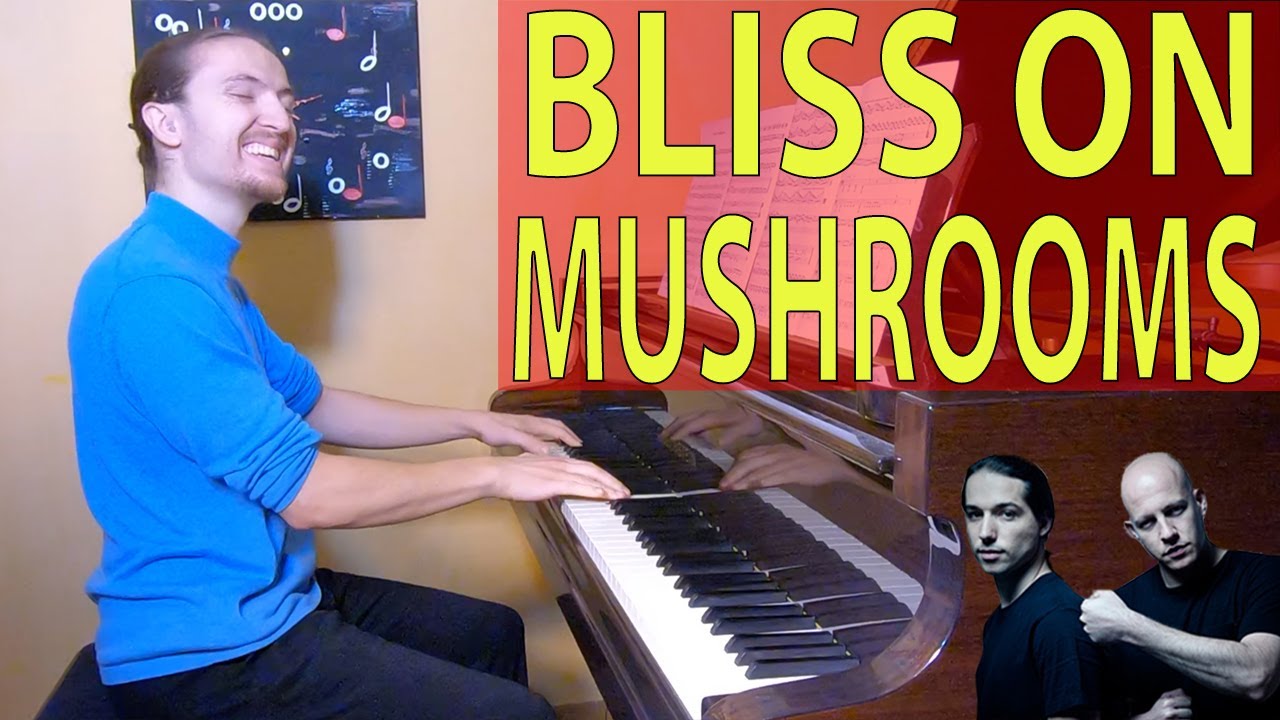 Etienne Venier - Infected Mushroom - Bliss on Mushrooms