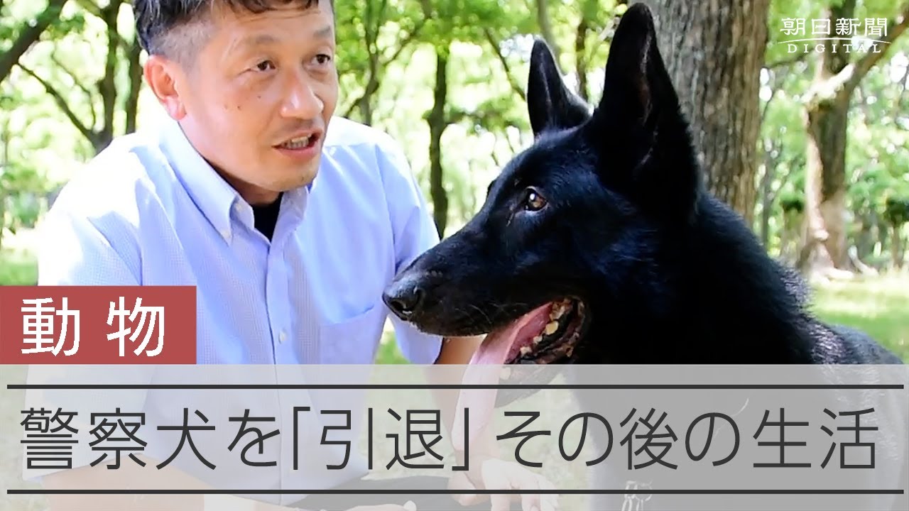引退なき警察犬　最期の１年、老いる相棒を前に鑑識課員は決意した