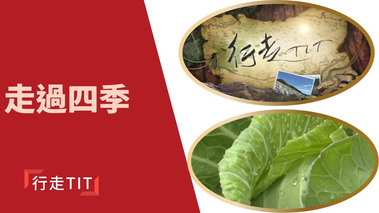 行走TIT第222集「走過四季」 |  宜蘭縣大同鄉四季部落