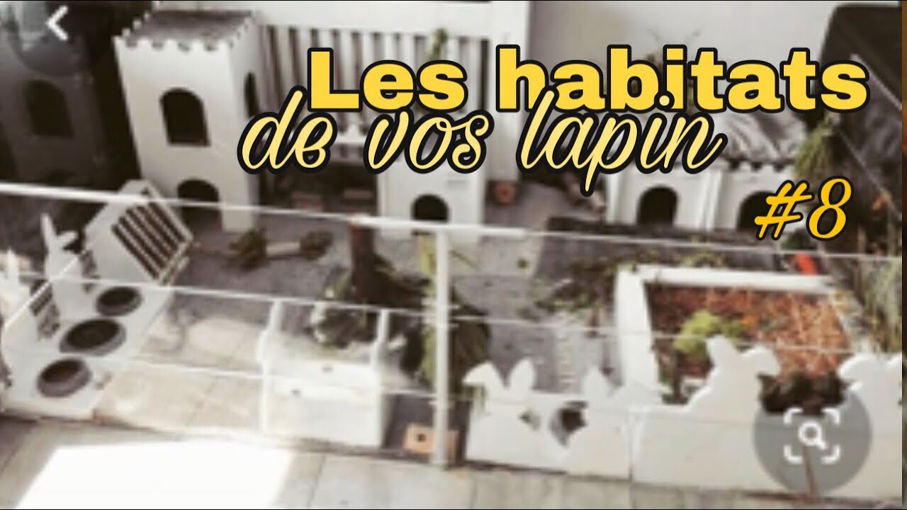 Je  présente les habitats de vos lapins #8