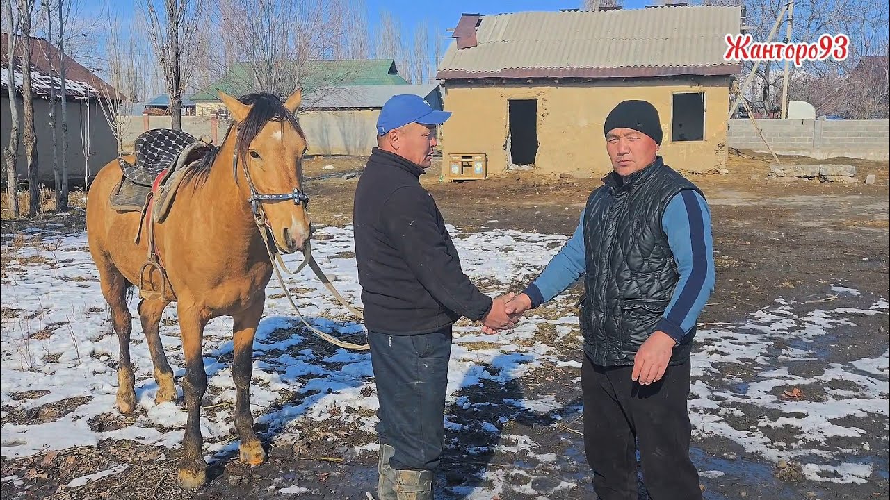 Жанторо93.  1 февраля 2026 г.