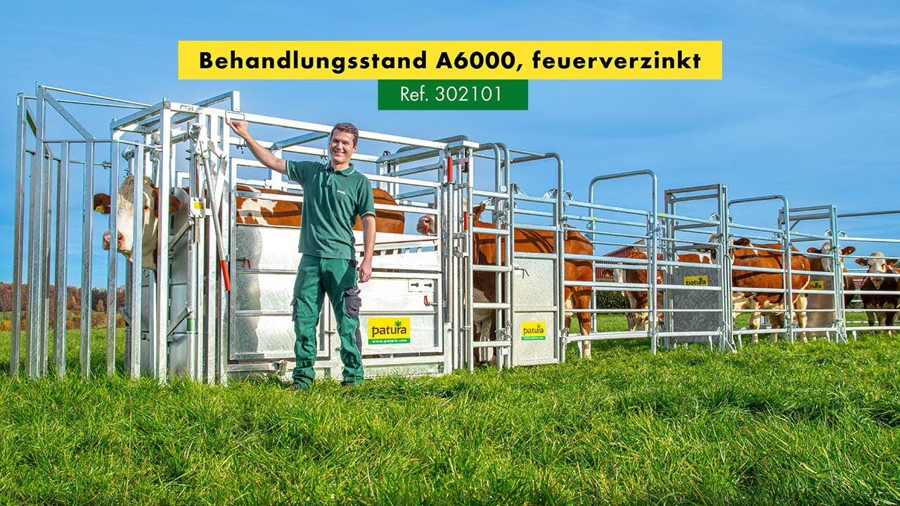 PATURA A6000 – Tierbehandlung im Detail – Fang- und Behandlungsstand für Rinder