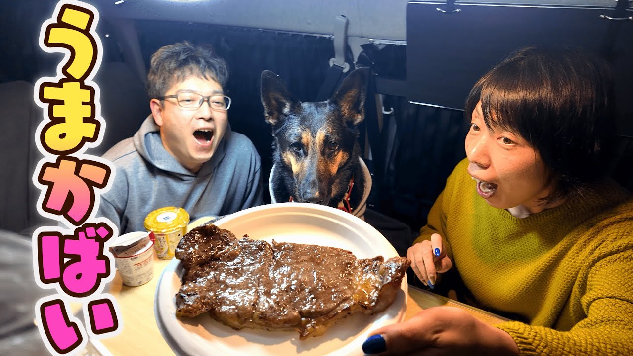 熊本で車中飯にあか牛焼いたら、愛犬がガマンできんかったw【ジャーマンシェパード】