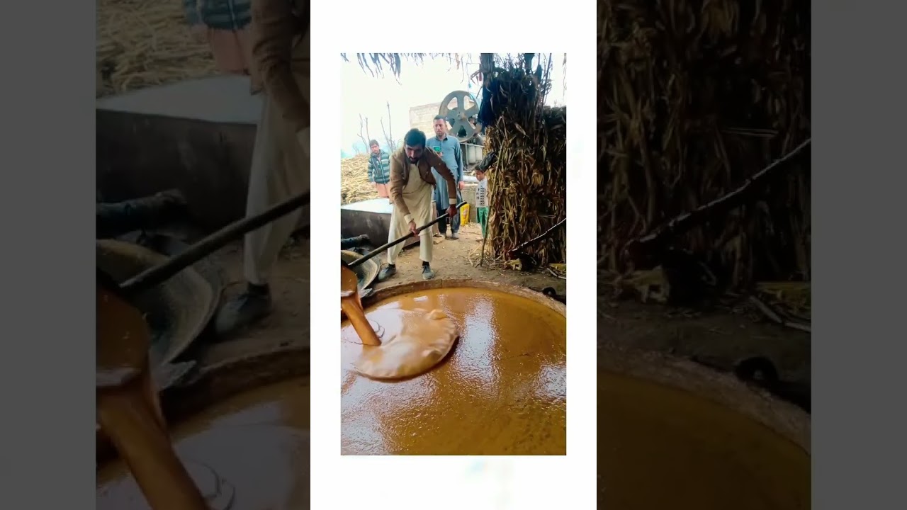 Gurh Making |Jaggery Making Process|