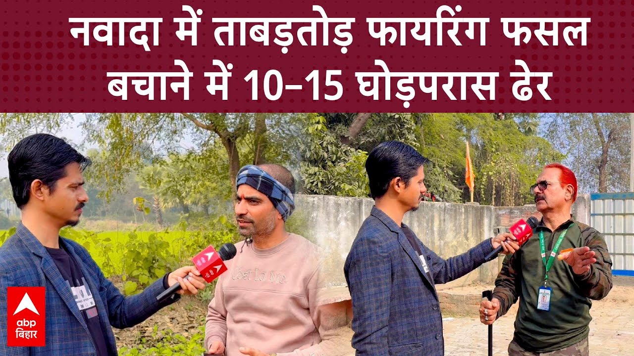 Nawada में ताबड़तोड़ फायरिंग फसल बचाने में 10&ndash;15 घोड़परास ढेर | ABP BIHAR CRIME