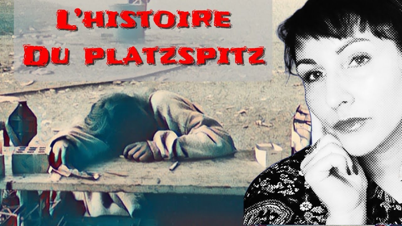 Le Platzspitz à Zürich: un enfer à ciel ouvert  #histoiresuisse#chronique