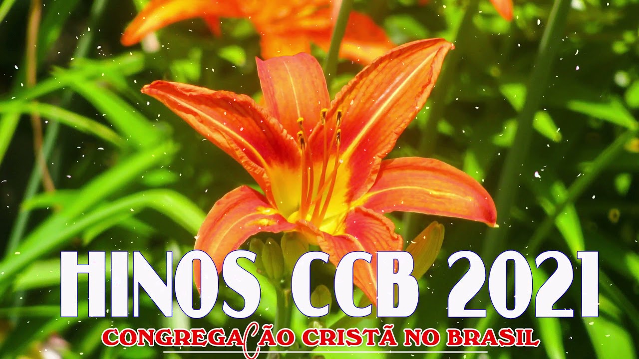 Belos Hinos CCB 🌼 Hinos Bonito para expulsar todo mal 🌼 Hinos CCB Cantados