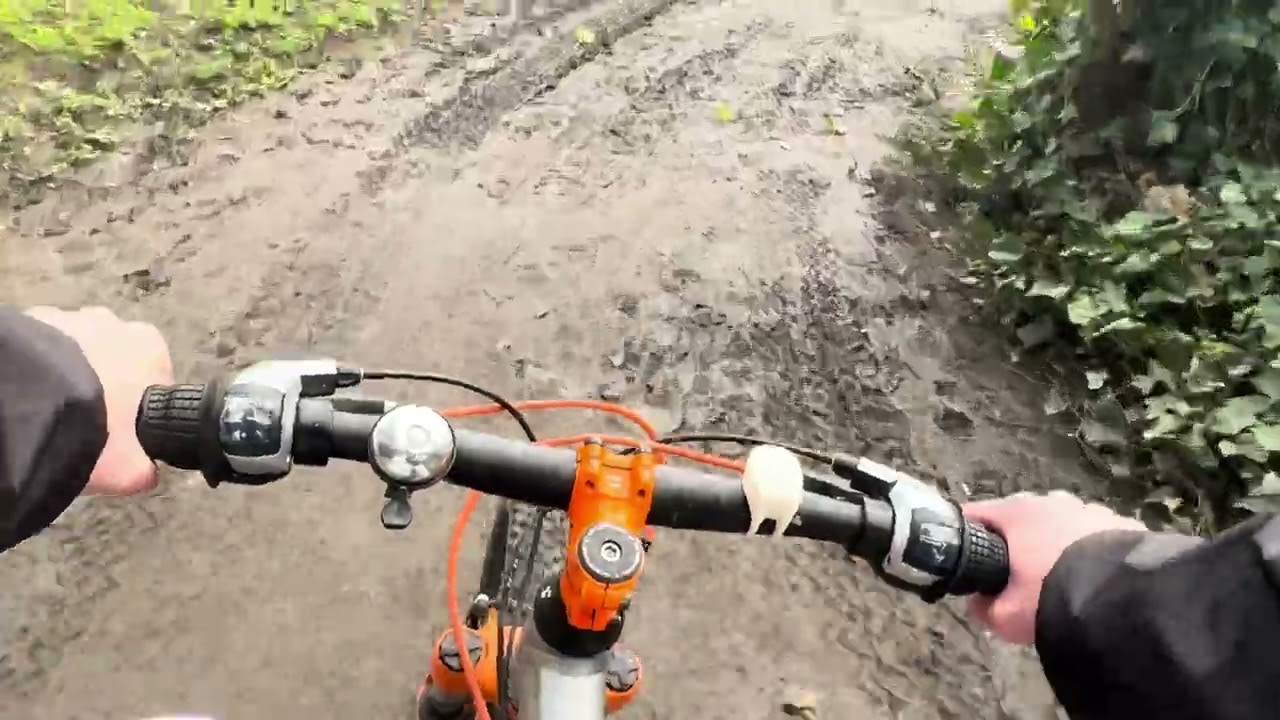 St Anne’s park and Bull island cycle